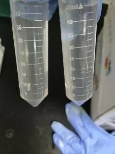 /uploads/image/2024/03/29/automated-homogenizer-20240329-5.jpg automated-homogenizer-20240329-5.jpg